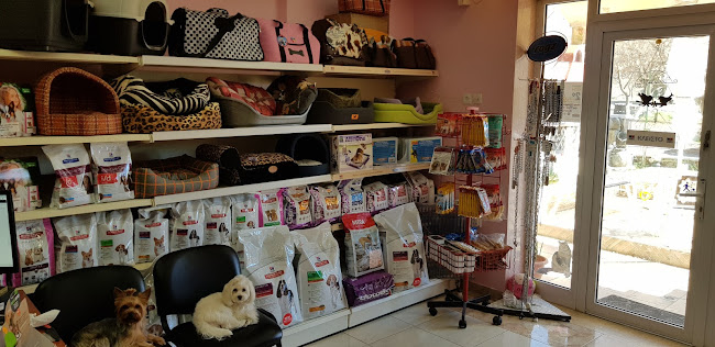 Κτηνιατρείο Νυμφοπούλου Σόνια ( Veterinary Clinic)