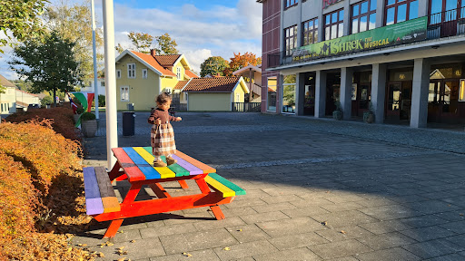 Festiviteten Cinema Mysen - Thumbnail