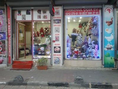 Kirmizigul House of Flowers