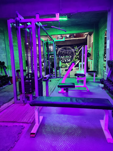Alro Gym