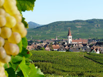 Vin Bio TEMPÉ - JESSEL Viticulteur Colmar Kaysersberg à Ammerschwihr