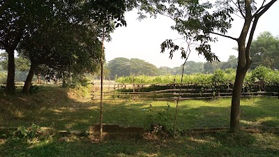 Photos of Purbachal Madani Town