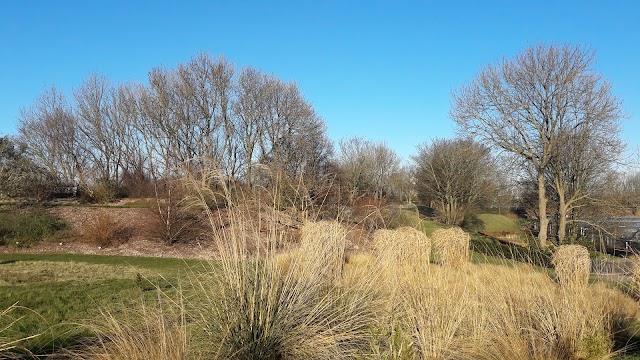 Les Jardins Suspendus