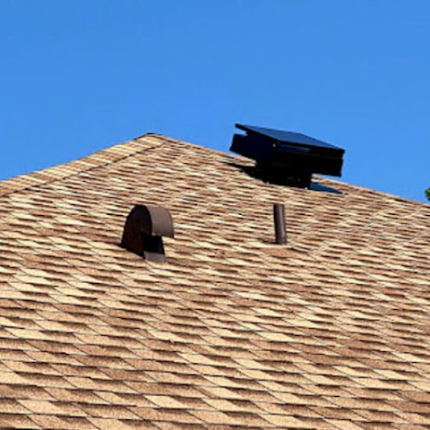 Koala Insulation of St Paul