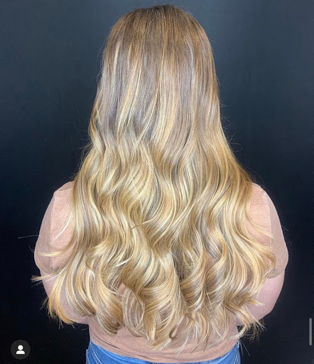 Salon 488 - Thumbnail