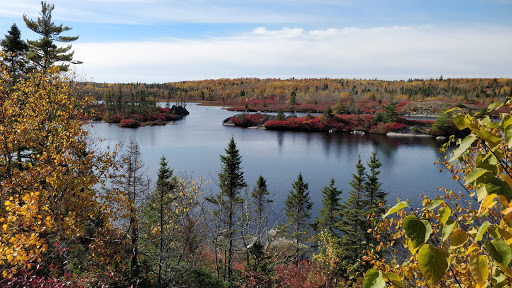 The Bluff Wilderness Hiking Trail (parking lot)