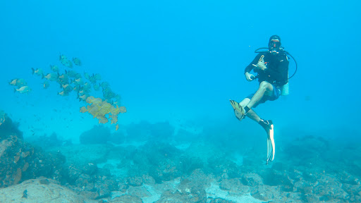 Baja Dive Experiences - Thumbnail