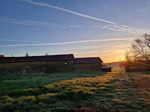 Photo n°7 de Nova Foresta Edulis à Monclar-sur-Losse (Ferme)
