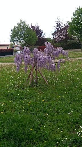 Piattaforma - Visual