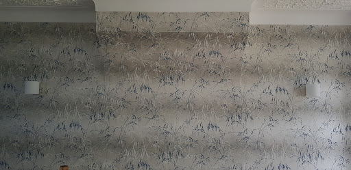 Active Plastering - Visual