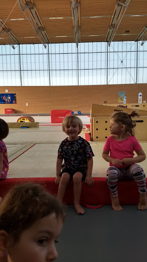 Avenir Gessien Gymnastique - Thumbnail