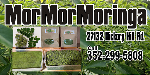 Mormormoringa LLC - Visual