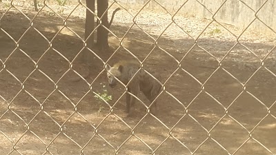 Photos of Unilorin Zoo