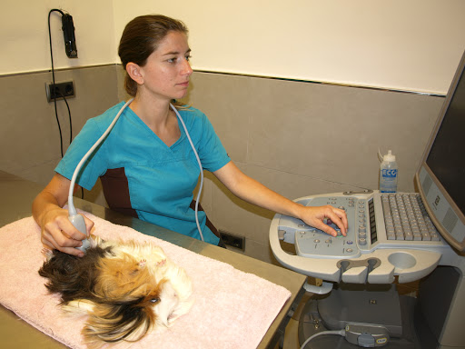 Clínica Veterinaria Vidal-Pereyra