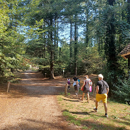 Photo n°2 de Explor Games - Le trésor volé du Val d'amour - Forêt de Chaux à La Vieille-Loye (Centre d'escape game)