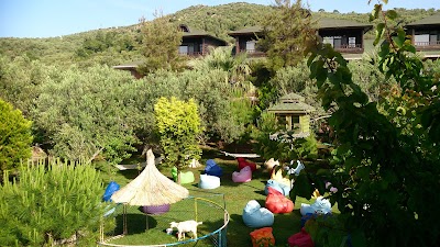 Photos of Kanara Hotel