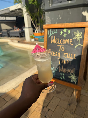 Green Elephant Backpackers by null