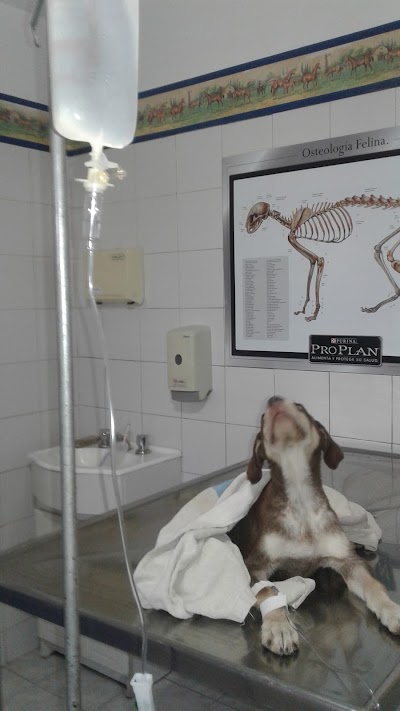 Photos of ANDINO VETERINARY HOSPITAL