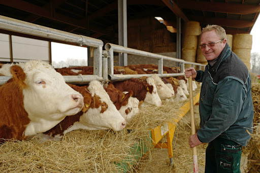 Ferme Les Morennes - Thumbnail