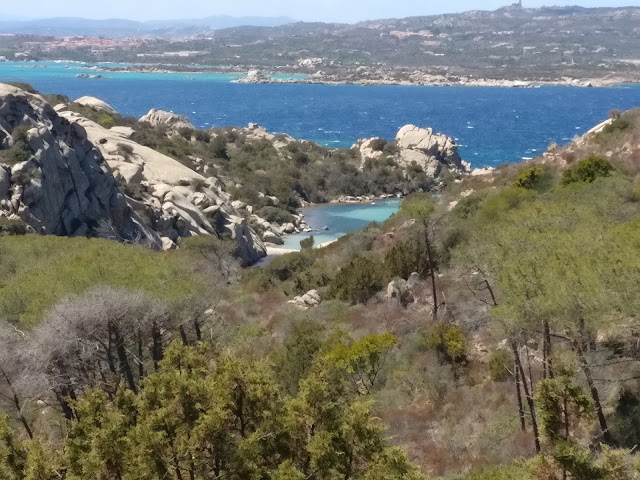 spiaggia di Cala Napoletana (Caprera)