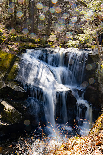 Enders State Forest
