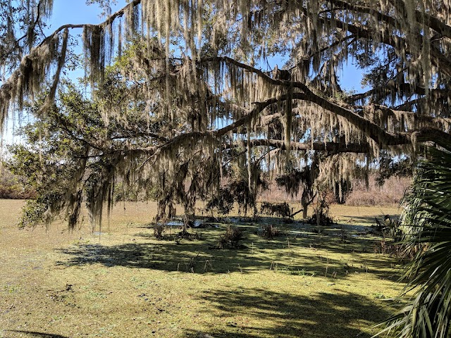 Paynes Prairie Preserve State Park