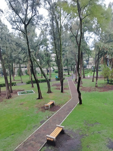 uam xochimilco - Thumbnail