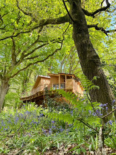 Tree House Retreats