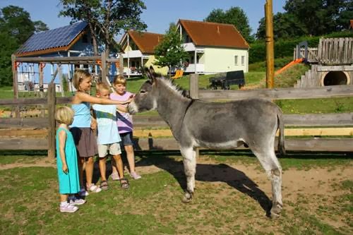 Kinderland Frankenhöfe Feriendorf Nehmeier - Thumbnail