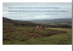 Photo n°4 de christophe vauthier à Urrugne (Coach de vie)