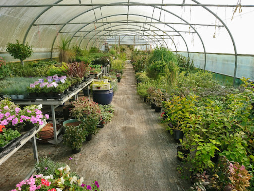 Tartendown Nurseries - Thumbnail