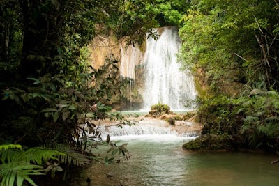 Photos of YC Tours Punta Cana
