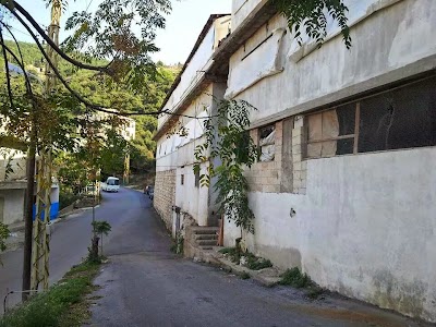 Photos of مزرعة أنطوان فراج للدواجن