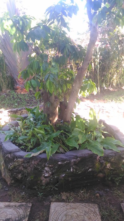 Photos of PUNGUT BALI