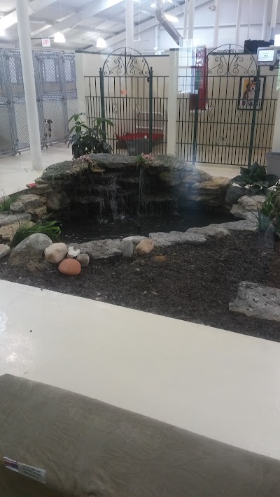 Photos of PetSuites Pet Resort & Spa