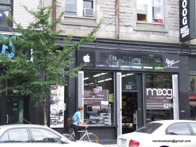 Moog Audio