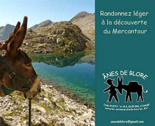 Photo n°33 de Ânes de Blore - donkey trekking à Valdeblore (Parc national)