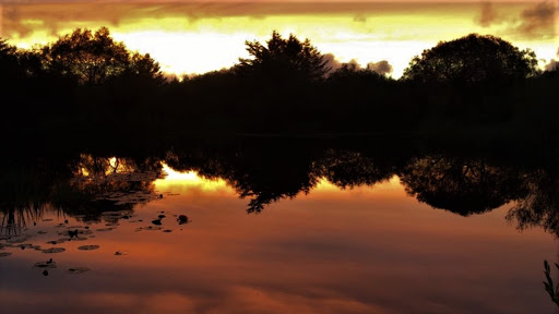 penuwch premier carp fishery - Thumbnail