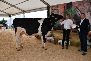 Photo n°30 de Union Laitière de la Meuse (ULM) à Bras-sur-Meuse (Producteur agroalimentaire)