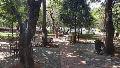 cafe