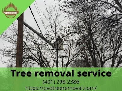 Cheap tree removal service near me Warwick RI