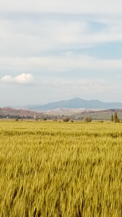 Photos of Arıbaşlar Tarım Ve Hayvancılık