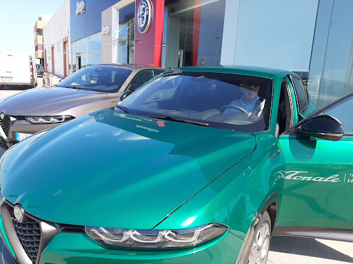 Paradiso S.r.l. - Alfa Romeo - Thumbnail