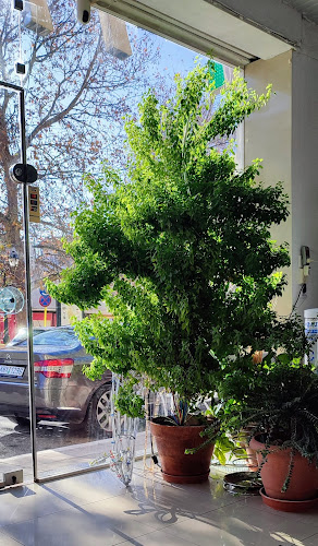 Comentarii opinii despre Φαρμακείο Σοφία Μακρίδου