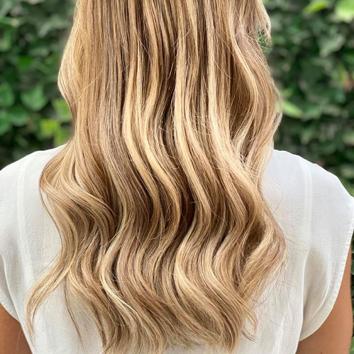 Scissors del Mar - Visual