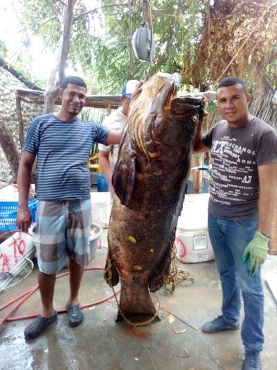 Photos of Pescader&iacute;a EL TATO