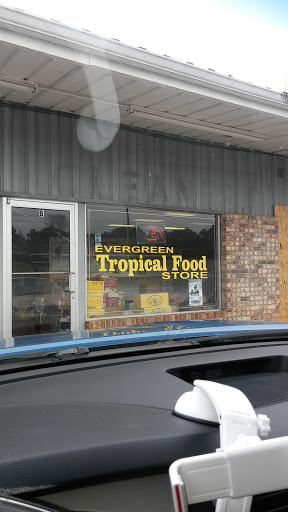 Evergreen Tropical Store