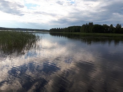 Photos of Dringis