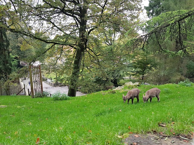 Heimat-Tierpark Olderdissen