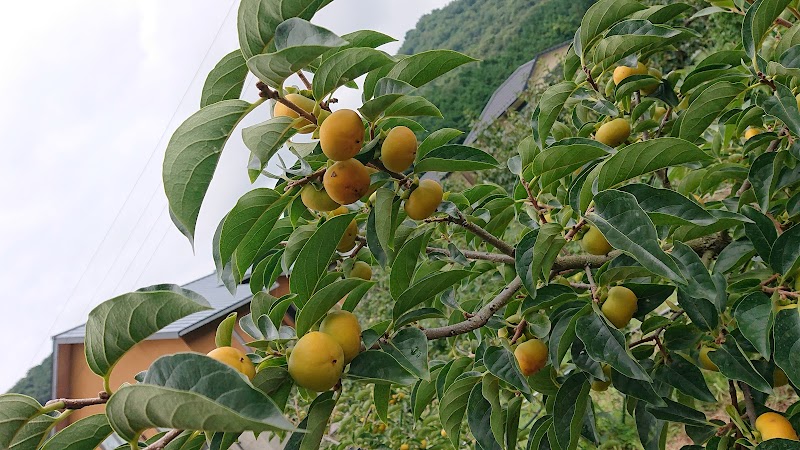 かしんフルーツ株式会社